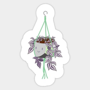 tradscantia plant in aromantic pride pot Sticker